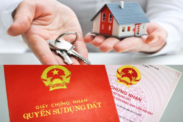 Dịch vụ xin cấp lại giấy chứng nhận quyền sử dụng đất